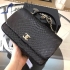 Chanel Bag 195 snake